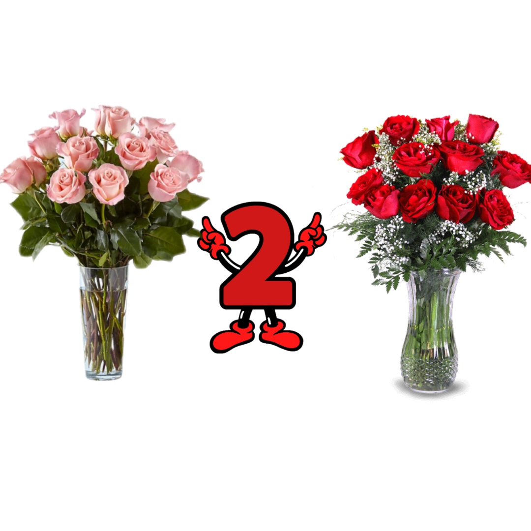 Rosas rosadas y rojas 2x1